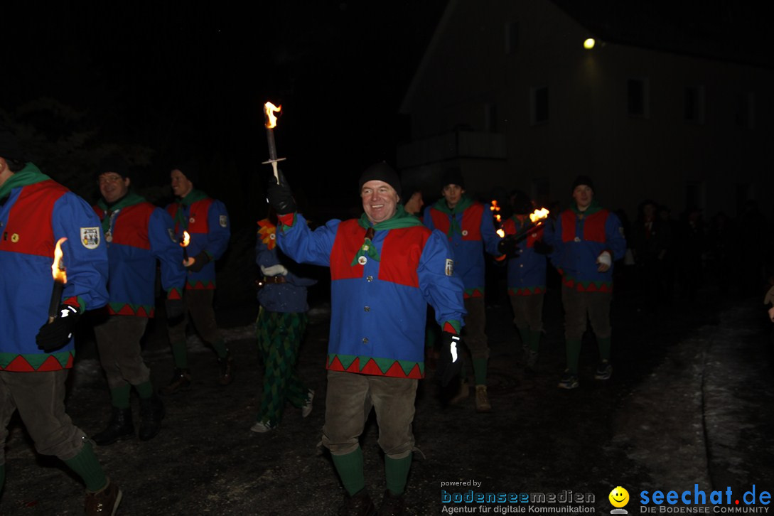 Nachtumzug und Fasnetsparty: Duchtlingen am Bodensee, 25.01.2013