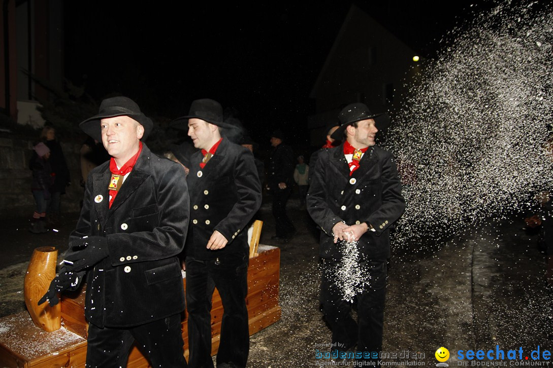 Nachtumzug und Fasnetsparty: Duchtlingen am Bodensee, 25.01.2013