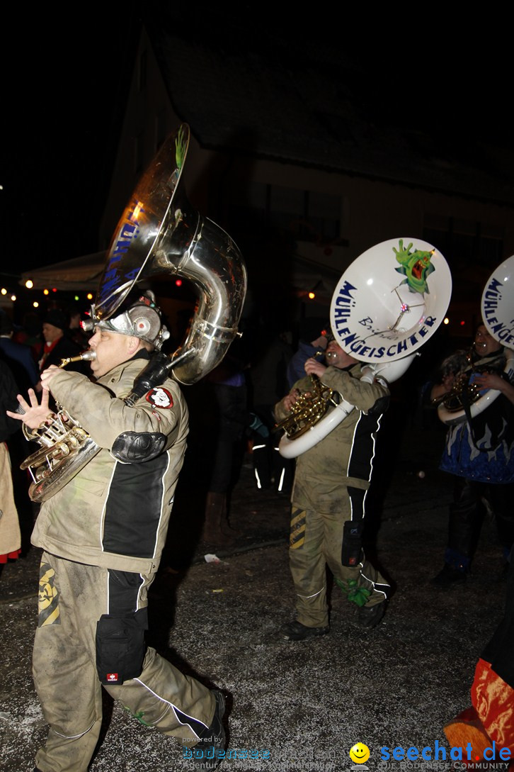 Nachtumzug und Fasnetsparty: Duchtlingen am Bodensee, 25.01.2013