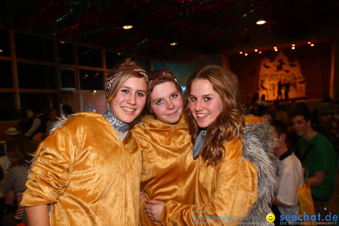 Sportlerball: Herdwangen am Bodensee, 26.01.2013