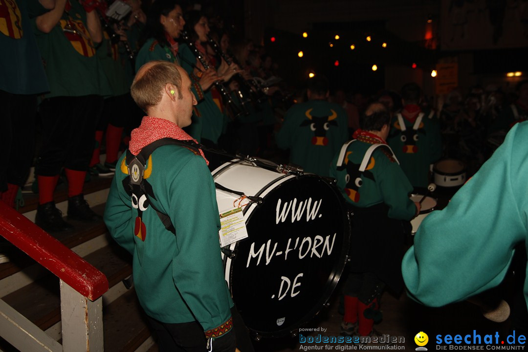 Zunftball der Poppele Zunft: Singen am Bodensee, 02.02.2013