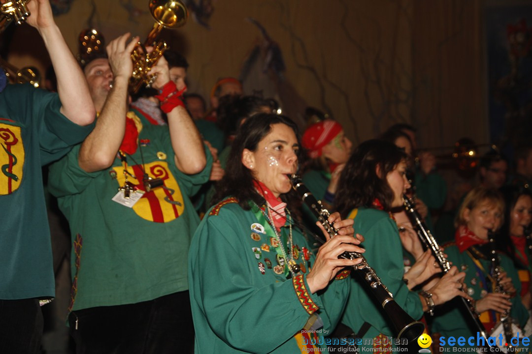 Zunftball der Poppele Zunft: Singen am Bodensee, 02.02.2013