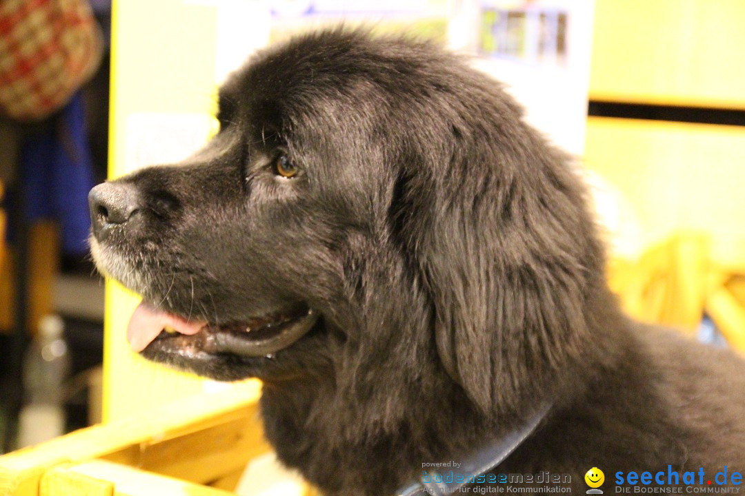 HUND 2013 - Hundemesse: Winterthur - Schweiz, 03.02.2013