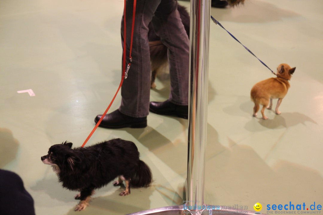 HUND 2013 - Hundemesse: Winterthur - Schweiz, 03.02.2013