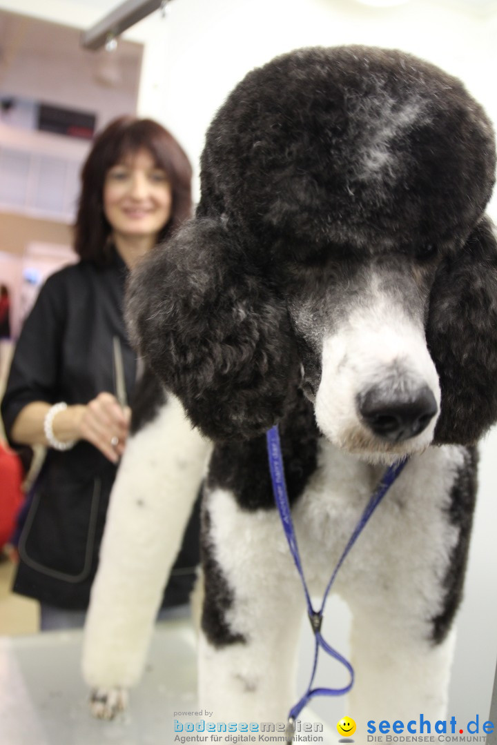 HUND 2013 - Hundemesse: Winterthur - Schweiz, 03.02.2013