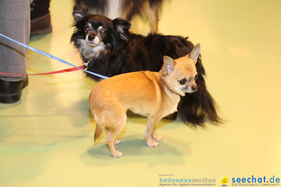 HUND 2013 - Hundemesse: Winterthur - Schweiz, 03.02.2013