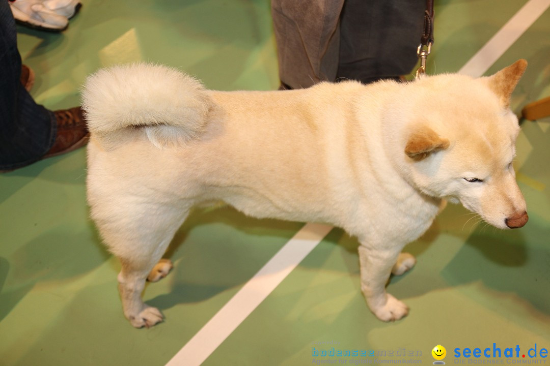 HUND 2013 - Hundemesse: Winterthur - Schweiz, 03.02.2013