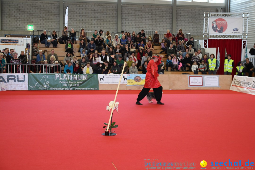 HUND 2013 - Hundemesse: Winterthur - Schweiz, 03.02.2013