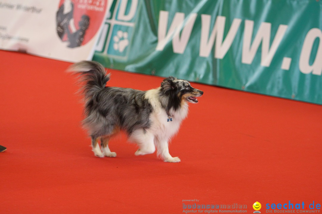 HUND 2013 - Hundemesse: Winterthur - Schweiz, 03.02.2013