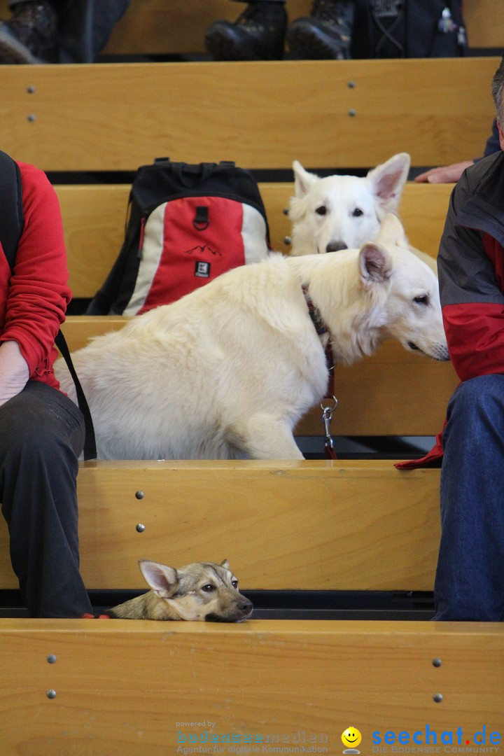 HUND 2013 - Hundemesse: Winterthur - Schweiz, 03.02.2013