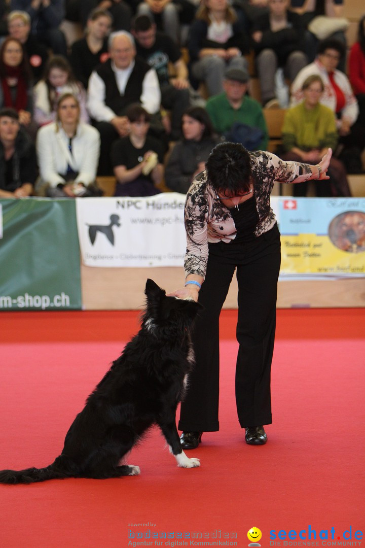 HUND 2013 - Hundemesse: Winterthur - Schweiz, 03.02.2013