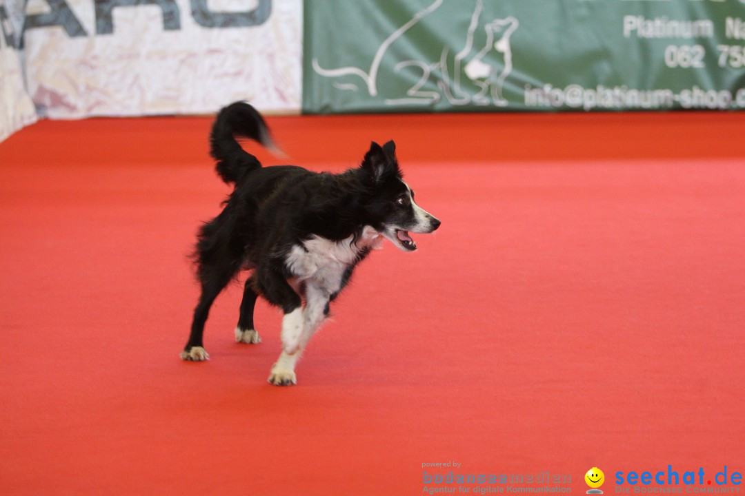 HUND 2013 - Hundemesse: Winterthur - Schweiz, 03.02.2013