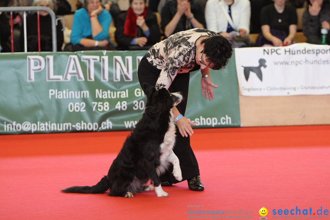 HUND 2013 - Hundemesse: Winterthur - Schweiz, 03.02.2013