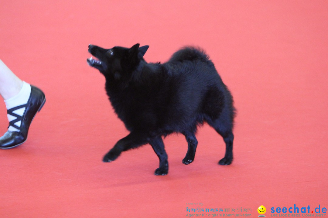 HUND 2013 - Hundemesse: Winterthur - Schweiz, 03.02.2013