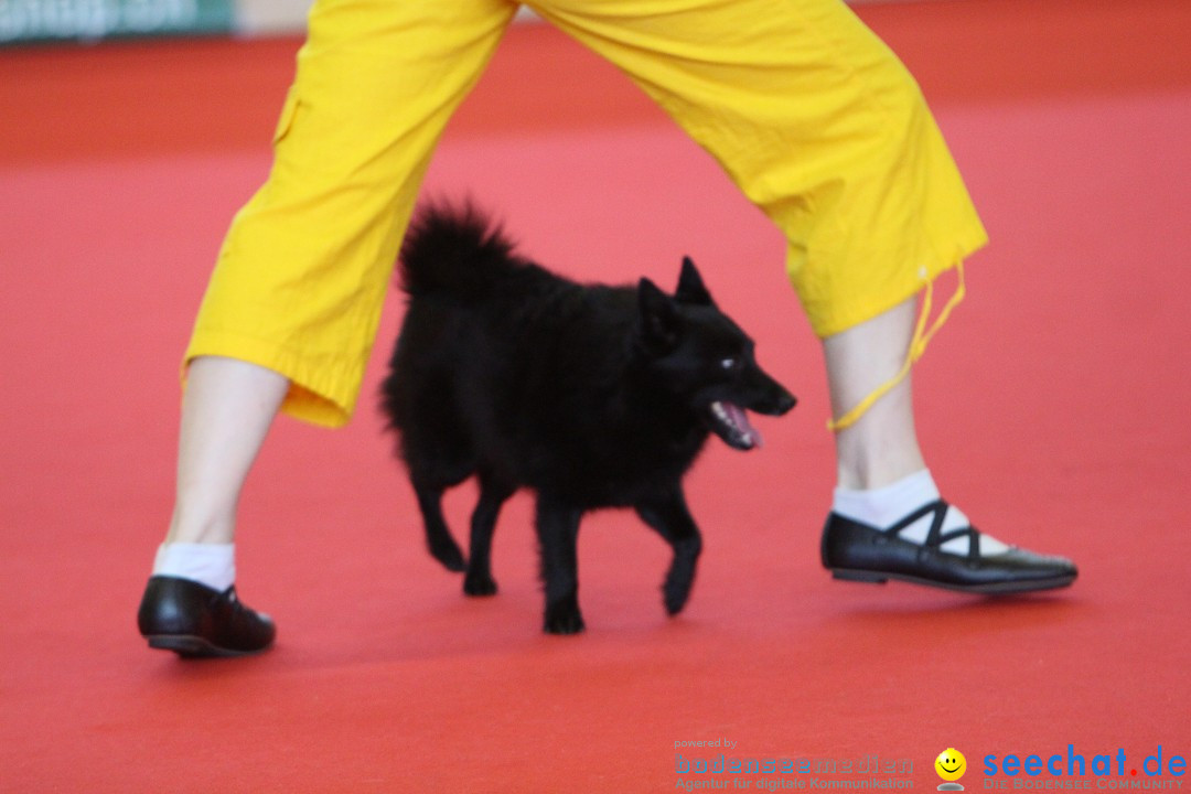 HUND 2013 - Hundemesse: Winterthur - Schweiz, 03.02.2013