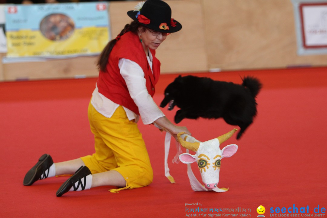 HUND 2013 - Hundemesse: Winterthur - Schweiz, 03.02.2013