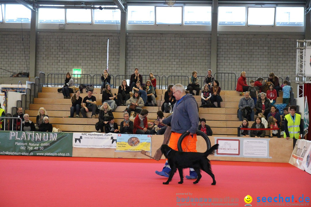 HUND 2013 - Hundemesse: Winterthur - Schweiz, 03.02.2013