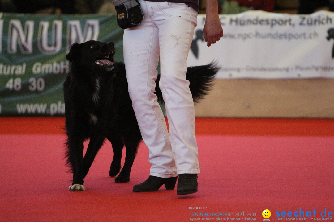 HUND 2013 - Hundemesse: Winterthur - Schweiz, 03.02.2013