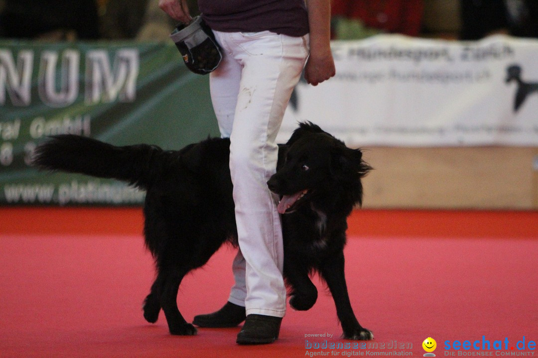 HUND 2013 - Hundemesse: Winterthur - Schweiz, 03.02.2013