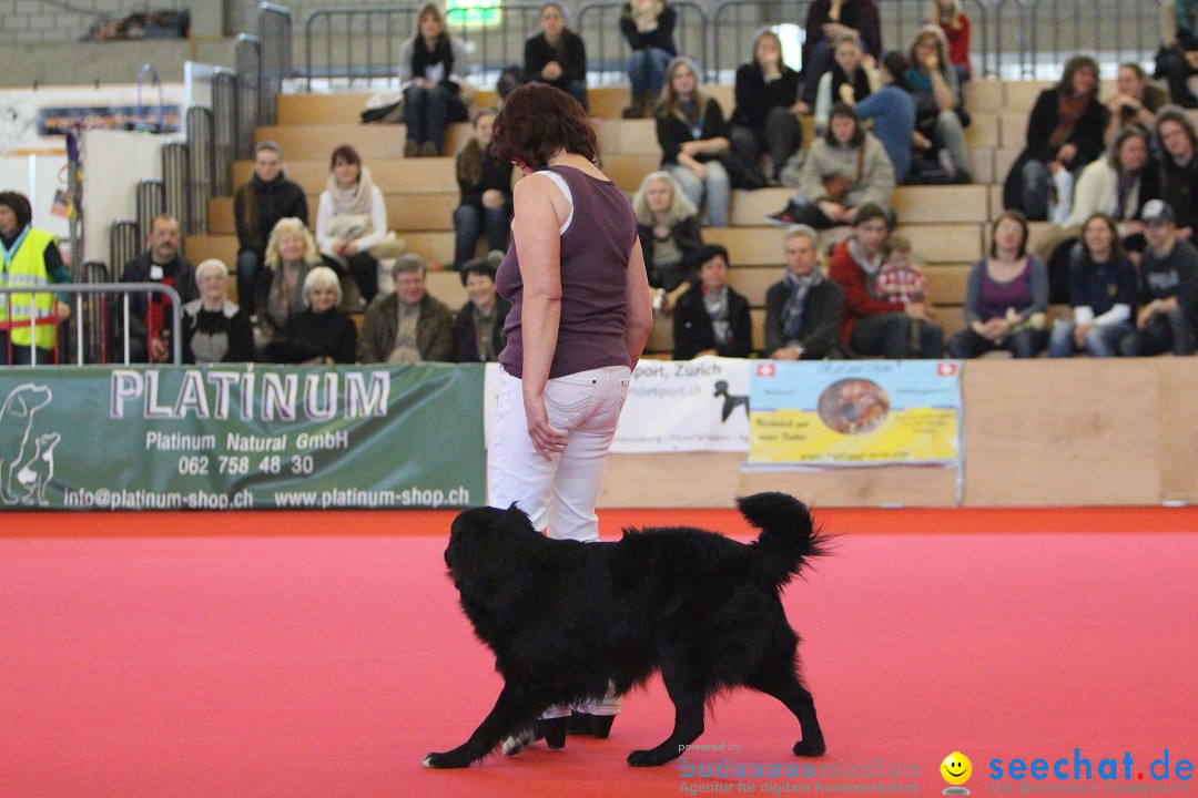 HUND 2013 - Hundemesse: Winterthur - Schweiz, 03.02.2013