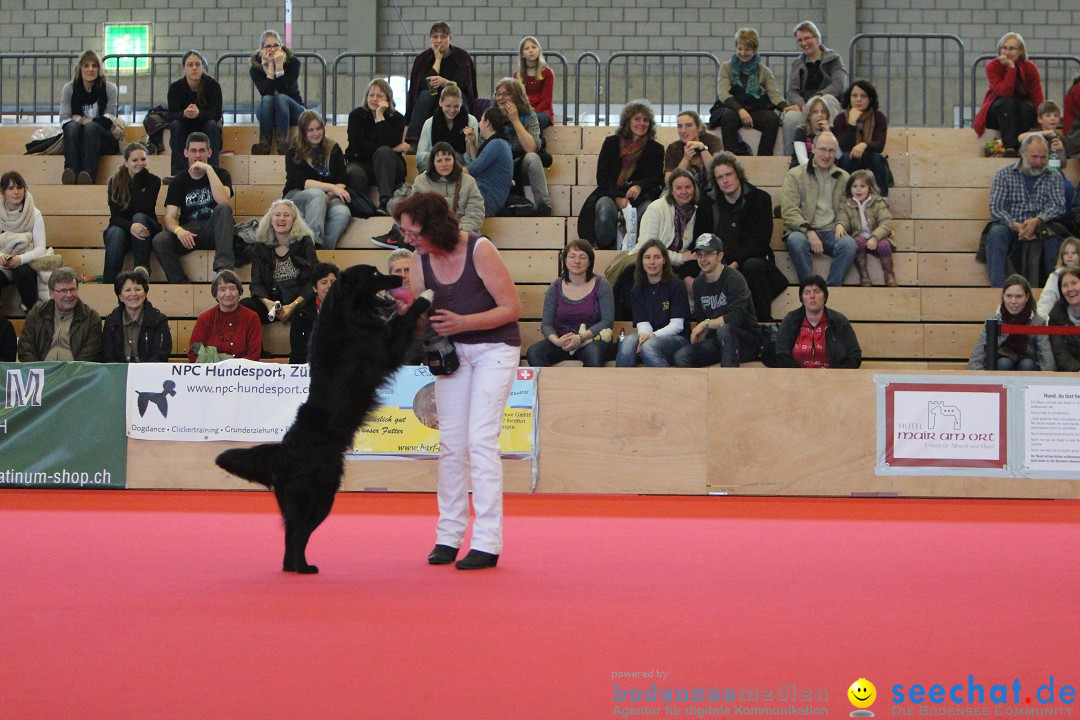 HUND 2013 - Hundemesse: Winterthur - Schweiz, 03.02.2013