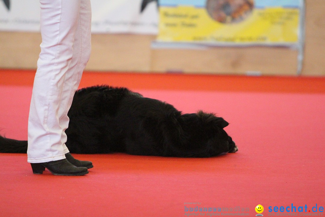 HUND 2013 - Hundemesse: Winterthur - Schweiz, 03.02.2013