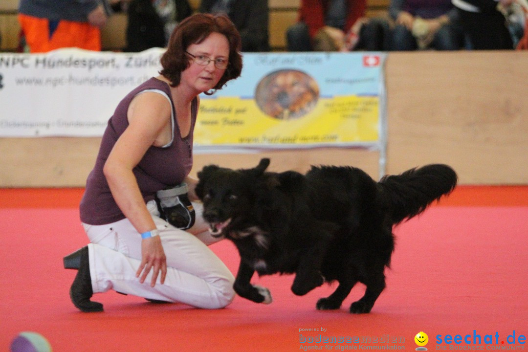 HUND 2013 - Hundemesse: Winterthur - Schweiz, 03.02.2013