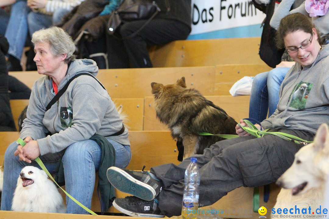 HUND 2013 - Hundemesse: Winterthur - Schweiz, 03.02.2013