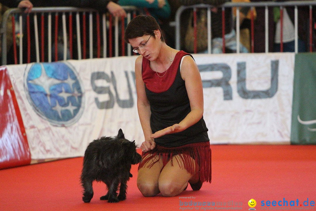 HUND 2013 - Hundemesse: Winterthur - Schweiz, 03.02.2013