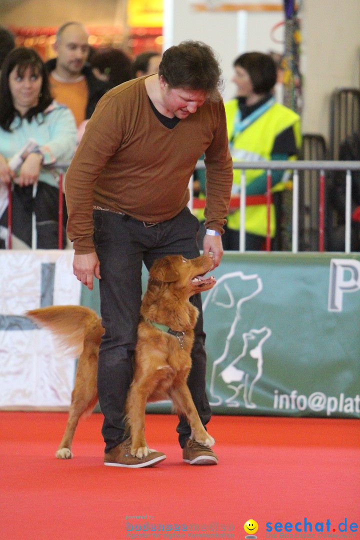 HUND 2013 - Hundemesse: Winterthur - Schweiz, 03.02.2013