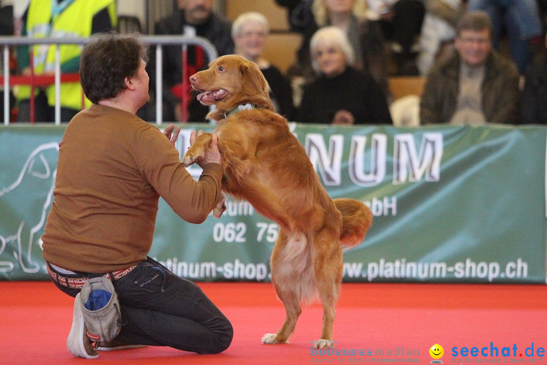 HUND 2013 - Hundemesse: Winterthur - Schweiz, 03.02.2013