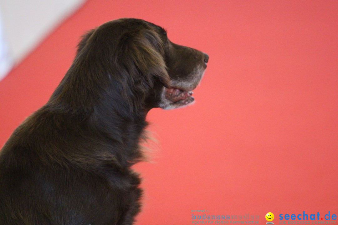 HUND 2013 - Hundemesse: Winterthur - Schweiz, 03.02.2013