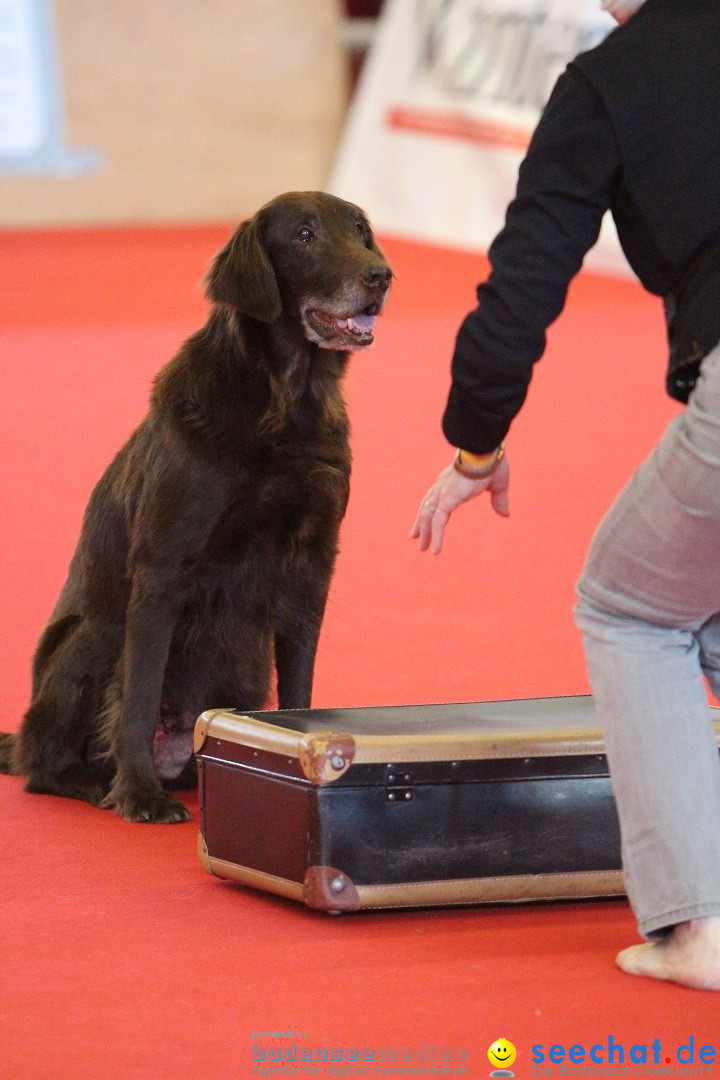 HUND 2013 - Hundemesse: Winterthur - Schweiz, 03.02.2013