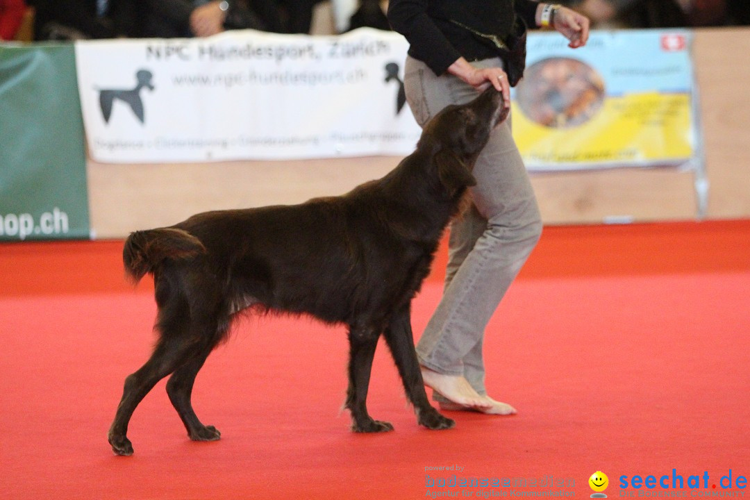 HUND 2013 - Hundemesse: Winterthur - Schweiz, 03.02.2013