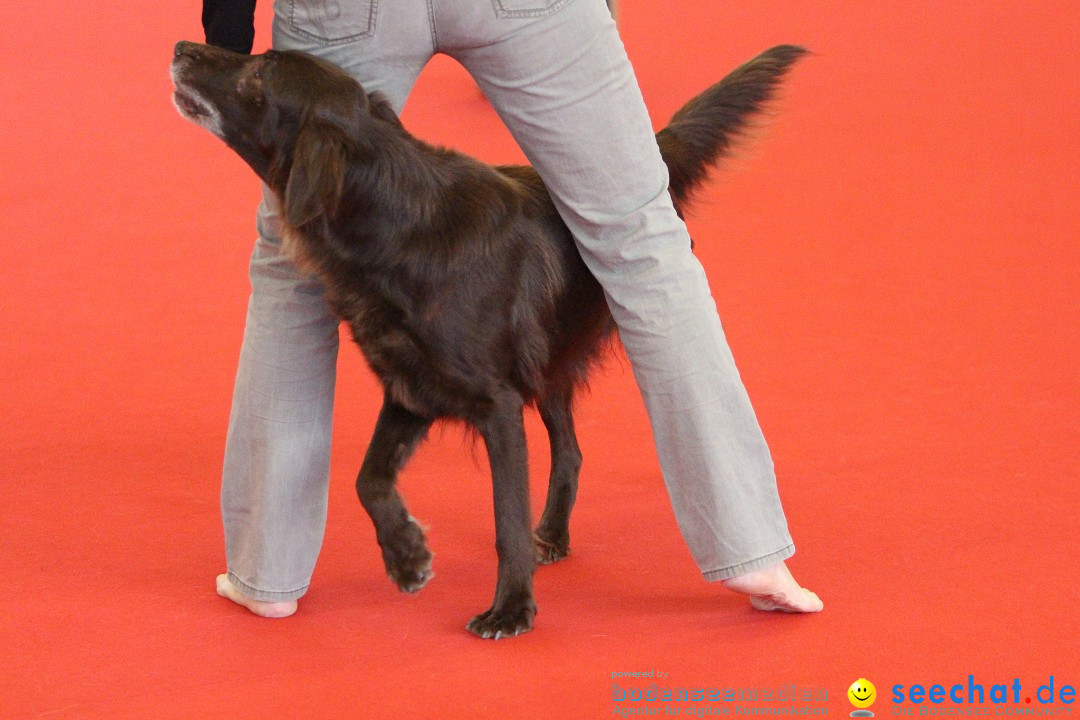 HUND 2013 - Hundemesse: Winterthur - Schweiz, 03.02.2013