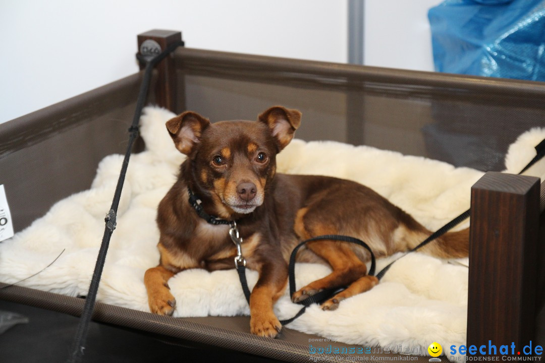 HUND 2013 - Hundemesse: Winterthur - Schweiz, 03.02.2013