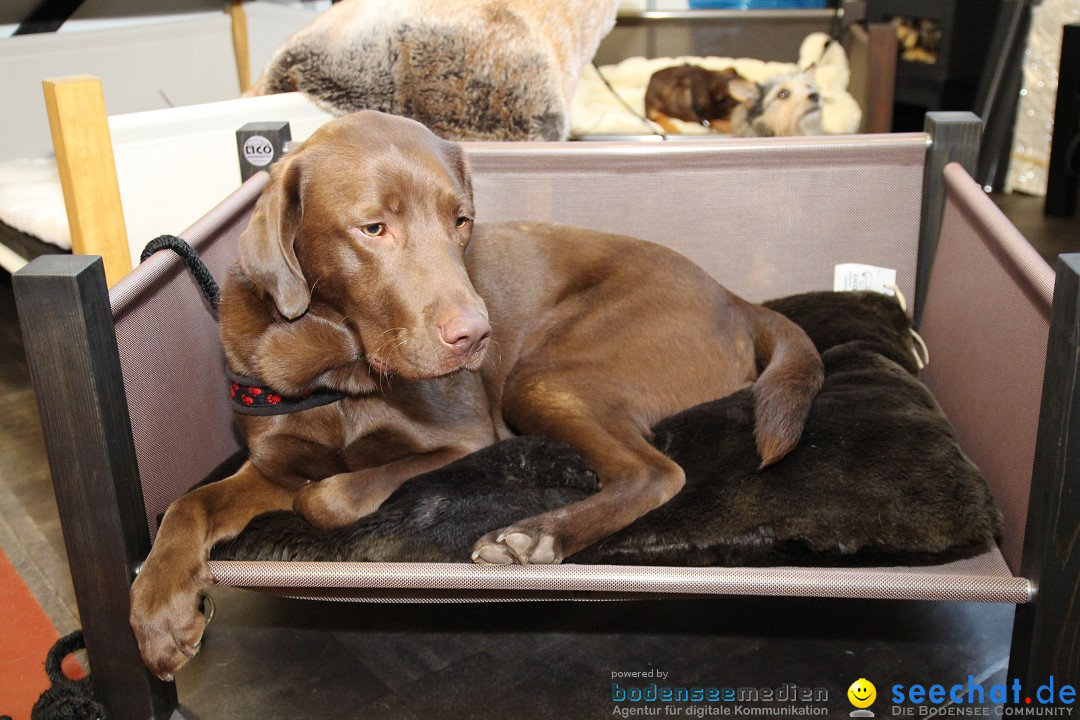 HUND 2013 - Hundemesse: Winterthur - Schweiz, 03.02.2013