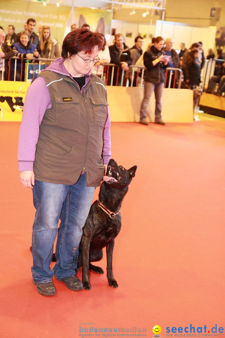 HUND 2013 - Hundemesse: Winterthur - Schweiz, 03.02.2013