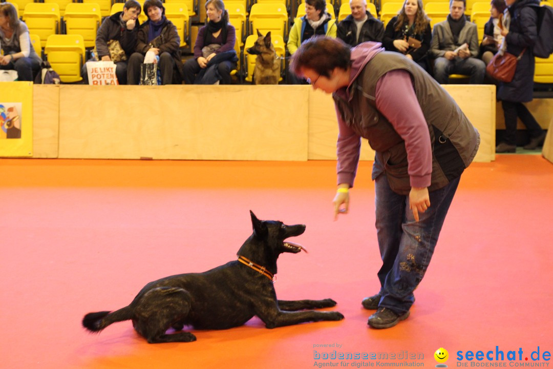 HUND 2013 - Hundemesse: Winterthur - Schweiz, 03.02.2013