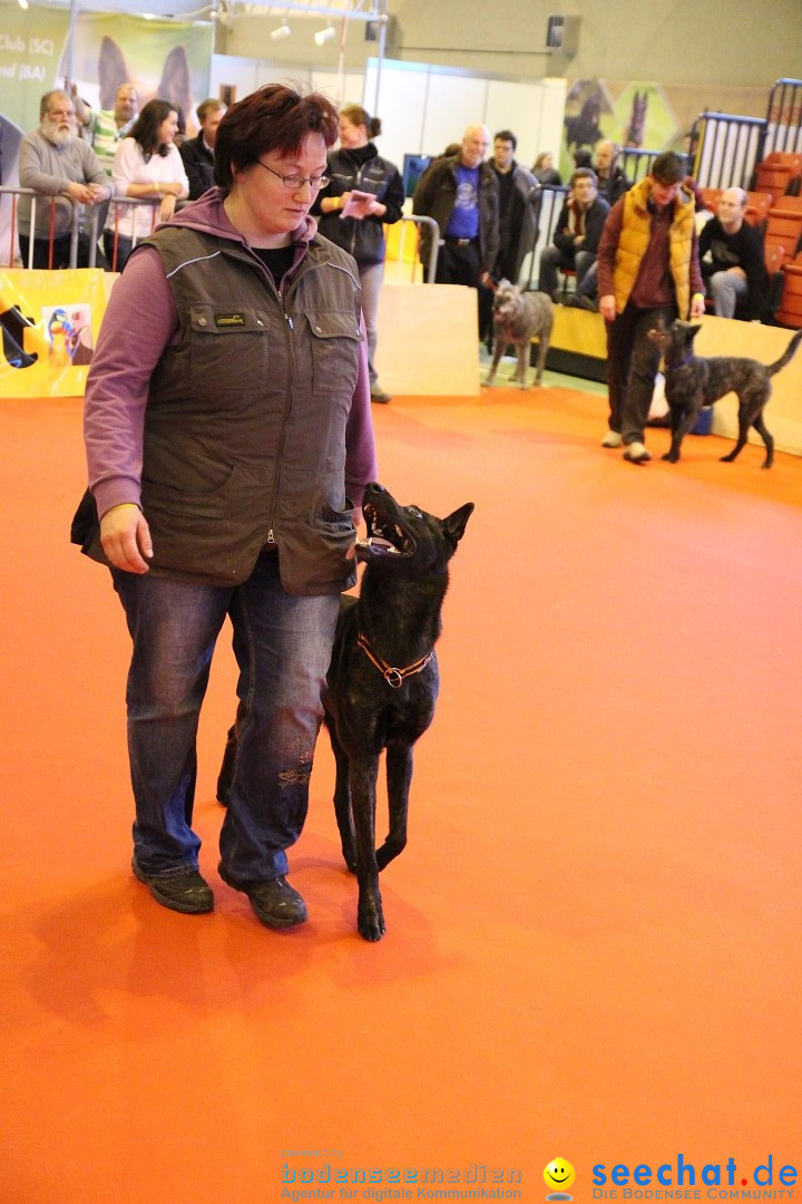 HUND 2013 - Hundemesse: Winterthur - Schweiz, 03.02.2013