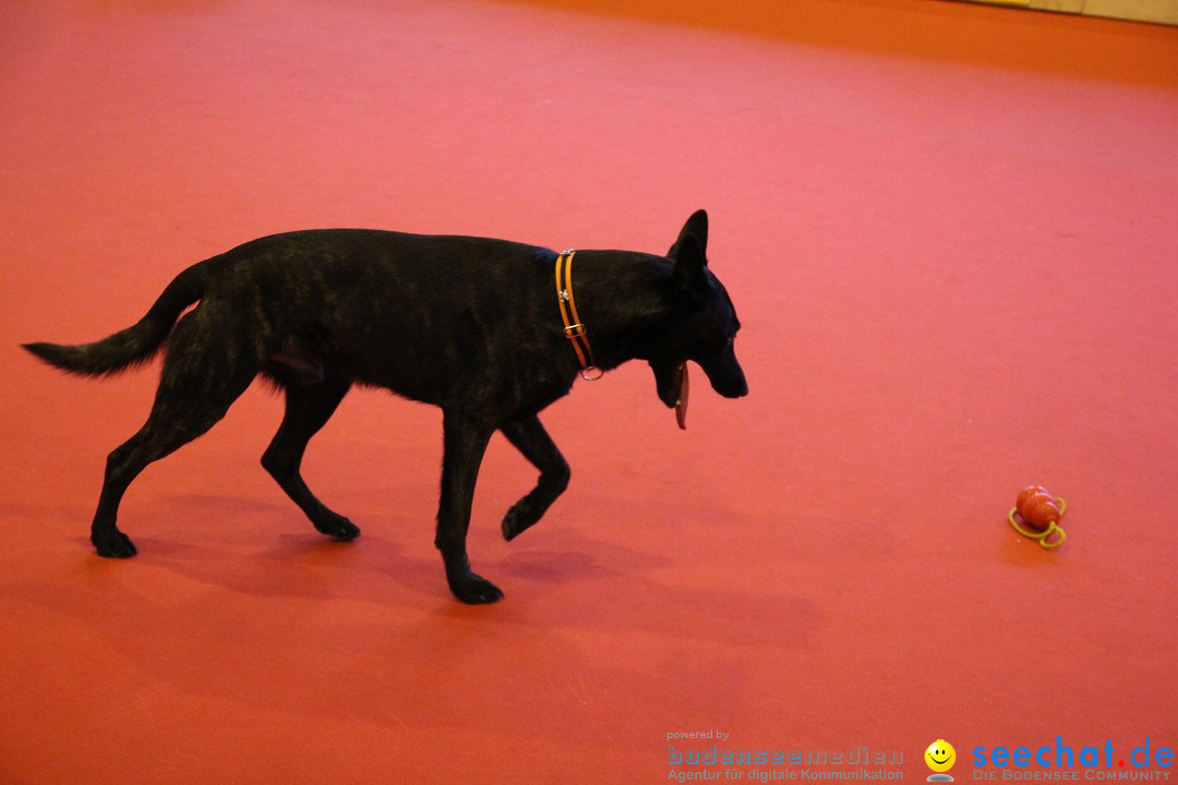 HUND 2013 - Hundemesse: Winterthur - Schweiz, 03.02.2013