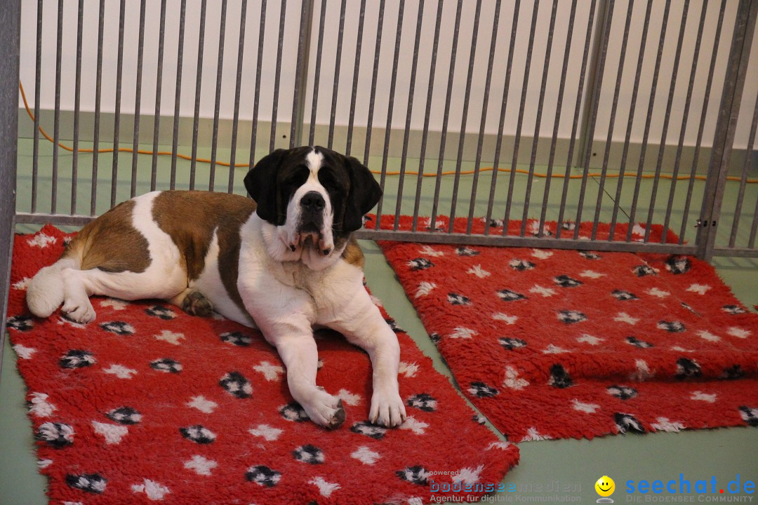 HUND 2013 - Hundemesse: Winterthur - Schweiz, 03.02.2013