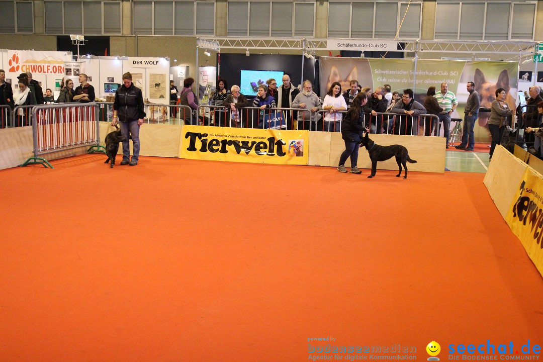 HUND 2013 - Hundemesse: Winterthur - Schweiz, 03.02.2013