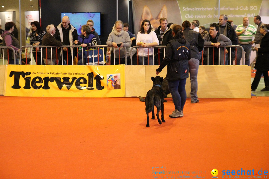 HUND 2013 - Hundemesse: Winterthur - Schweiz, 03.02.2013