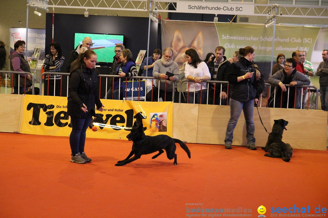 HUND 2013 - Hundemesse: Winterthur - Schweiz, 03.02.2013