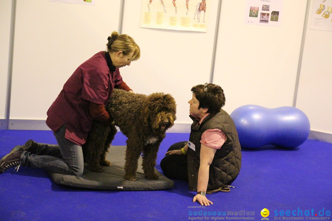 HUND 2013 - Hundemesse: Winterthur - Schweiz, 03.02.2013