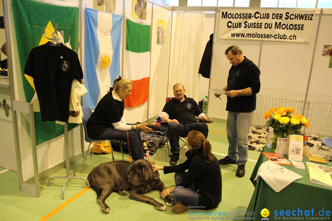 HUND 2013 - Hundemesse: Winterthur - Schweiz, 03.02.2013