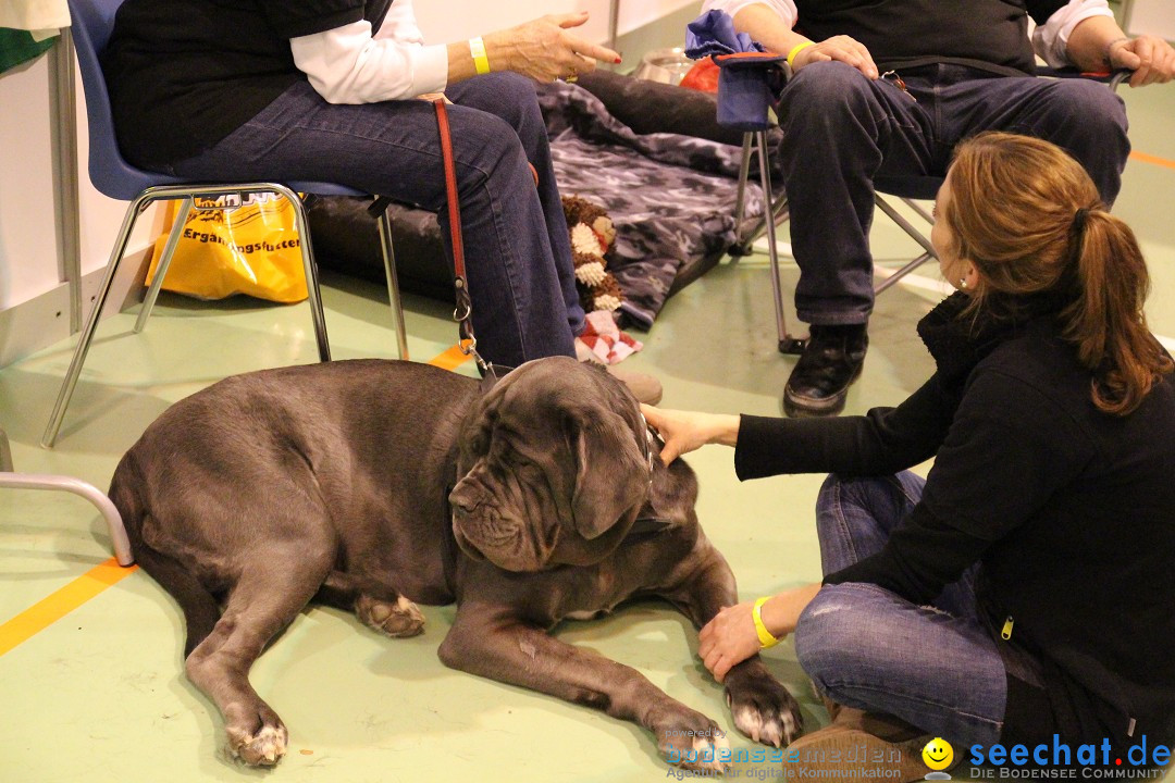 HUND 2013 - Hundemesse: Winterthur - Schweiz, 03.02.2013