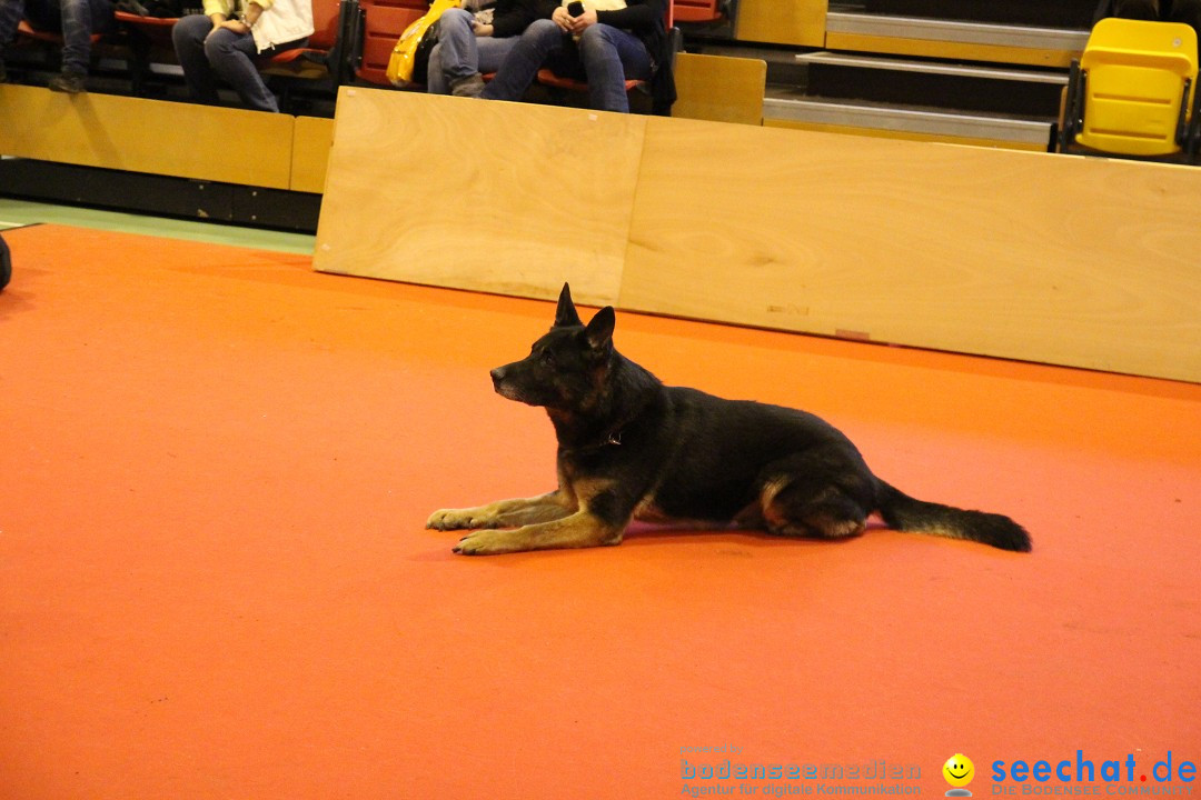 HUND 2013 - Hundemesse: Winterthur - Schweiz, 03.02.2013