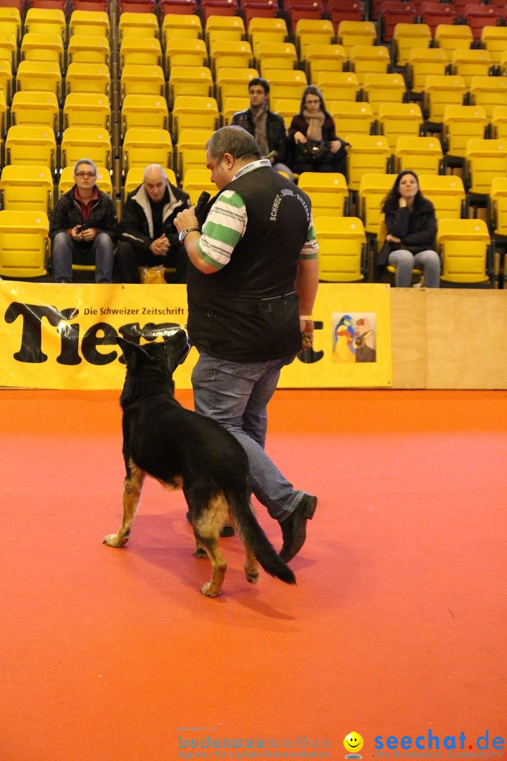 HUND 2013 - Hundemesse: Winterthur - Schweiz, 03.02.2013